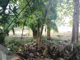DIJUAL TANAH MURAH DI BAWAH NJOP 50% LOKASI PETUKANGAN KOMP TANGKAS