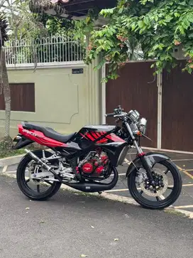 Ninja SS zebra Fullspek