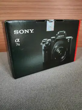 Sony Alpa Mark II set