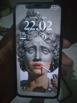 Iphone X inter 256gb