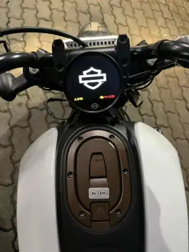 Harley Davidson Sportster S 1250