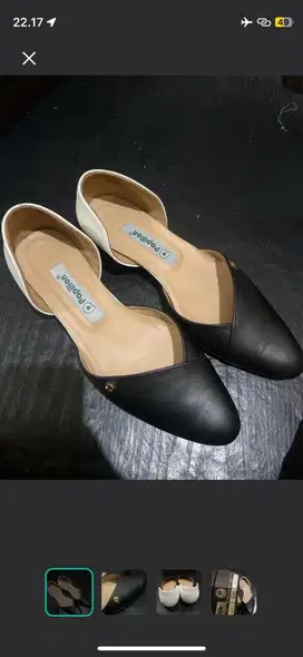 flashoes papillon