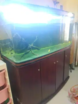 Aquarium Boyu Ace Hardware