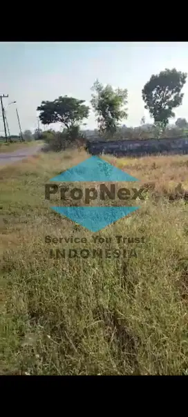 Ds. Doho Agung Balonpanggang Gresik