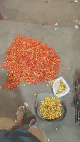 penyuplai sayur dan bawang