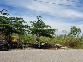 Dijual Tanah Driyorejo harga terjangkau