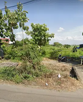 Dijual Lahan Industri Balongbendo