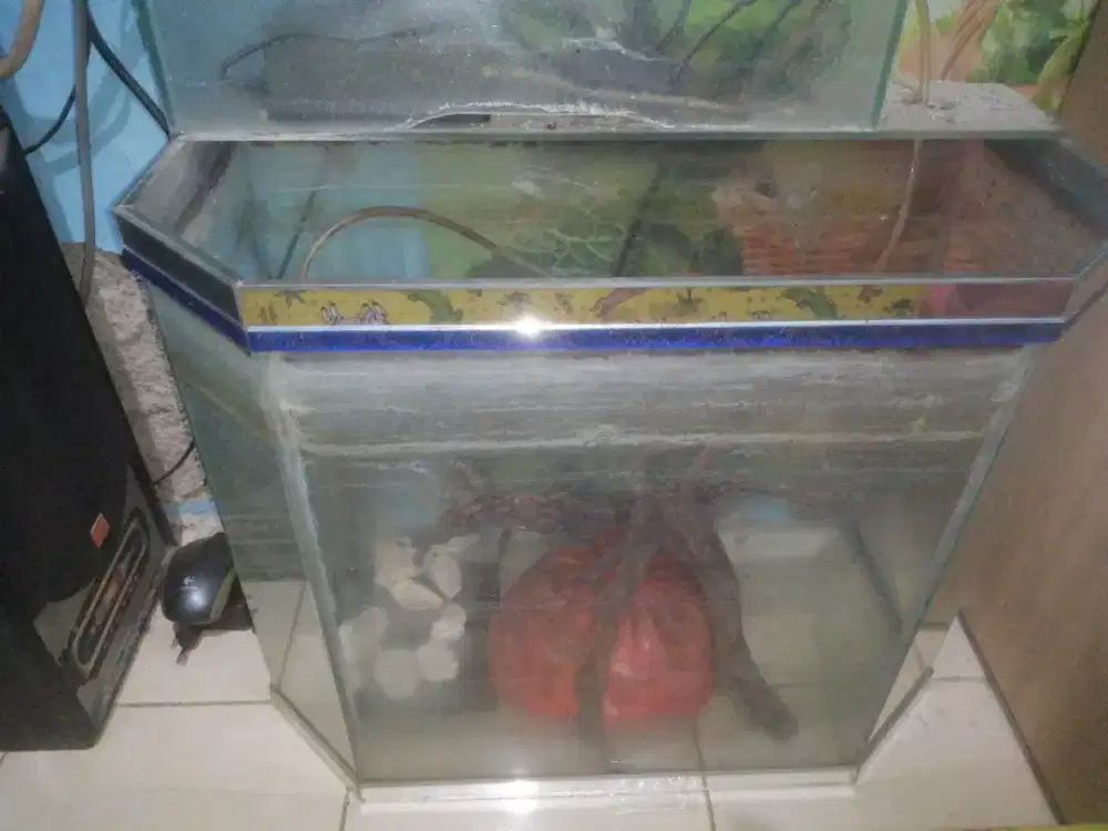 AKUARIUM KACA IKAN