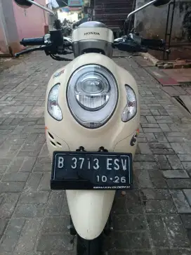 Scoopy styles 2021