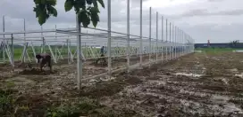 Baja ringan SNI bongkar pasang atap lama,kanopi dll