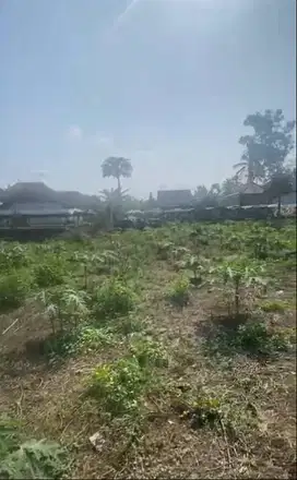 DIJUAL TANAH SANGAT MURAH, BU