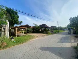 Jual Cepat Tanah Condong Catur Sleman Jogja, Cocok Bangun Rumah Kost
