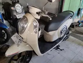 Honda Scoopy 2014