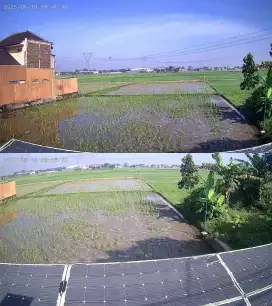 Di jual tanah sawah