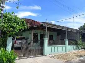 Dijual/dikontrakan rumah