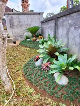 Rumput dan taman