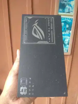Asus Rogphone 8 12/256 mulus tt bt