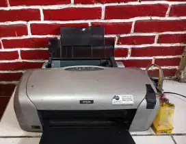 Printer Epson R230