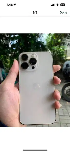 ip 13 pro mulus