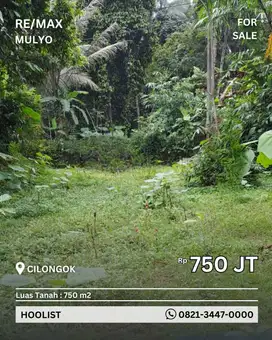 Dijual Tanah Murah Area Cilongok Seluas 750 m2