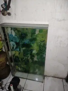 AQUARIUM IKAN HIAS SEPAKET SAMA BESI TATAKAN AQUARIUM DAN LAMPU NYA