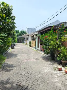 Taman gunung anyar rungkut