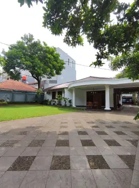 Disewakan Rumah Area Jeruk Purut