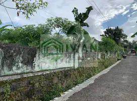 Tanah Kering/Pekarangan Dengan Muka 43m Beriklim Sejuk