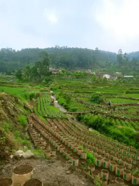 TANAH ADA SUNGAI DI RANCABALI CIWIDEY
