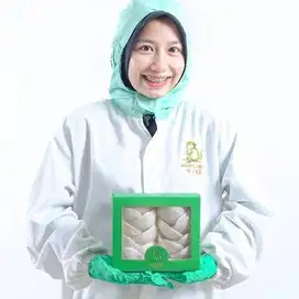 LOWONGAN STAF PENCABUTAN SARANG WALET