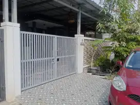 JUAL CEPAT RMH LT 144 LB 100 CLUSTER ARALIA