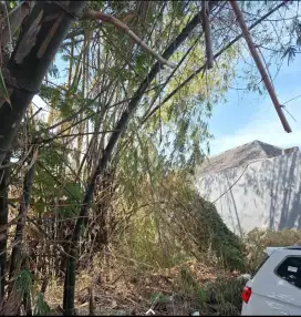 Dicari tenaga pembersih lahan