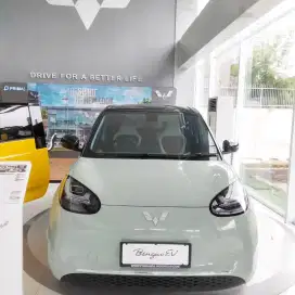 Wuling bingou ev