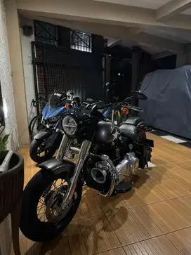 HD Harley Davidson Softail Slim 2015 Full Paper