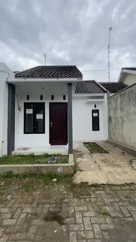 Rumah Thursina dan Kampus Dau Malang