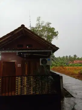 Dicari : Wanita, Ngelola  warkop (sistem bagi hasil)
