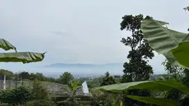 Kapling Malang Murah di Kawasan Elite, Bisa Juga untuk Rumah Tenang