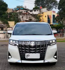 ALPHARD G ATPM 2022 AT KM 30RB PAJAK FULL 1 TAHUN ISTIMEWA