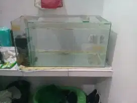 Aquarium ikan hias