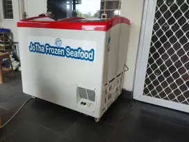Freezer Display 200 lt