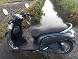 Motor Scoopy 2018