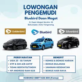Driver Bluebird