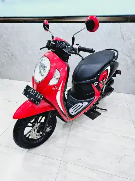 Ciamik pol scoopy 2021