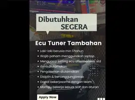 Lowongan ECU TUNER/ Setting ECU/ REMAP ECU