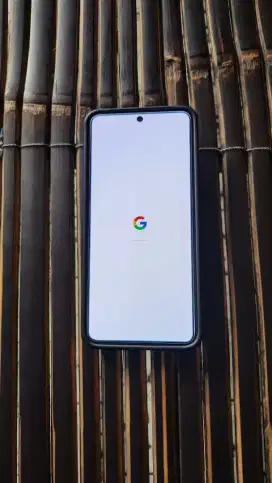 Google Pixel 8  Mulussss