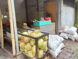 jual alat/barang perlengkapan jualan kelapa muda
