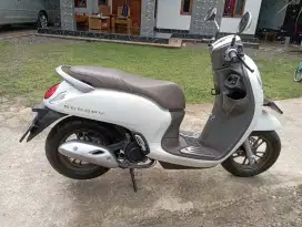 HONDA SCOOPY PRESTIGE 2024 KM 4000 GOOD CONDITION