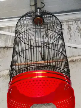 Sangkar/Kandang Kapsul X Kenari