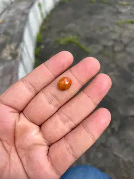 Natural Opal Kalimaya