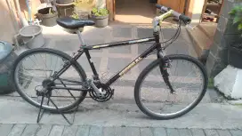 Federal MT EVEREST  CYCLE 2000